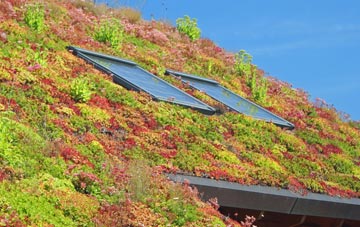 Redesmouth living roof systems